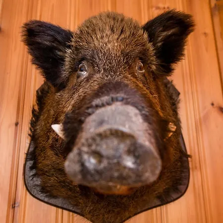 In With Garden בית נופש