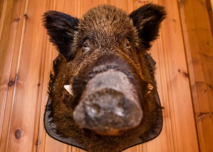 In With Garden Дом отдыха