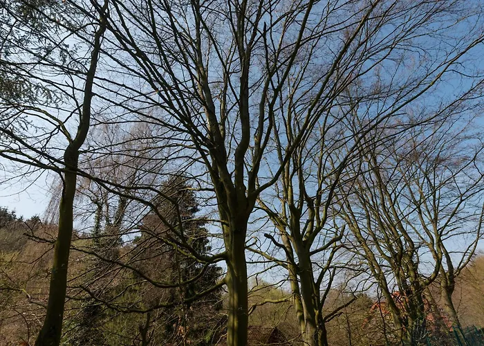 In With Garden Дом отдыха *